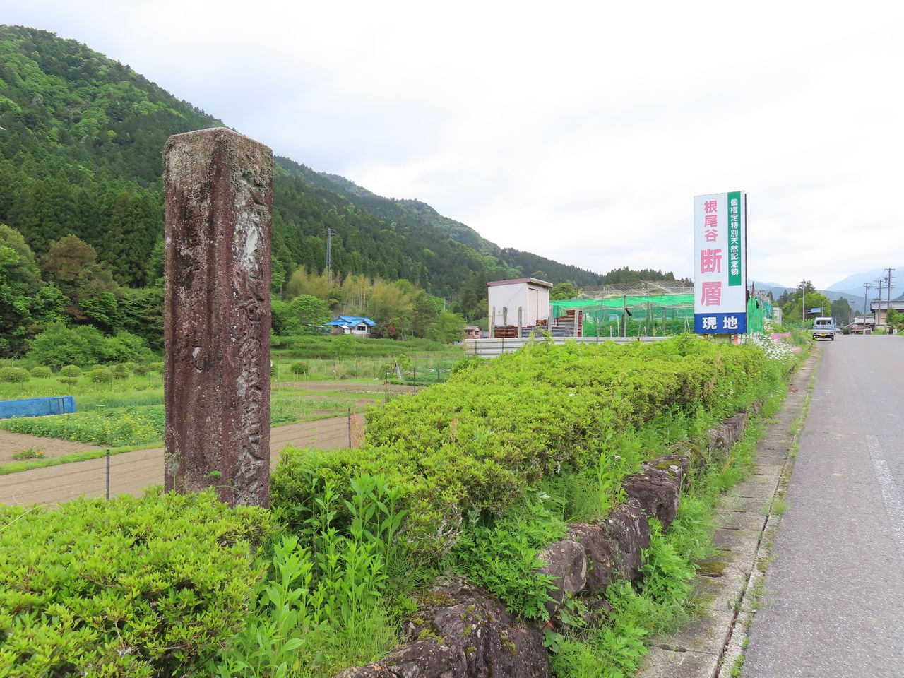 石碑21天然記念物根尾谷断層（本巣市根尾水鳥）